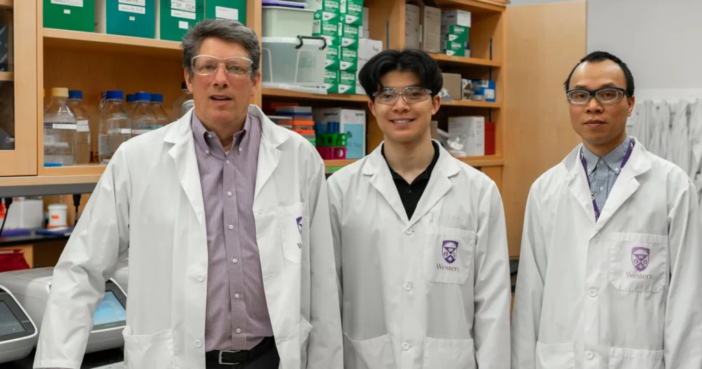 The study shows that the researchers' patented therapeutic candidate, HLP, has the ability to drive out the last remnants of HIV-1. (From left) Schulich School of Medicine & Dentistry Prof. Eric Arts, master’s student Ryan Ho and postdoctoral scholar Minh Ha Ngo. Megan Morris/Schulich School of Medicine & Dentistry