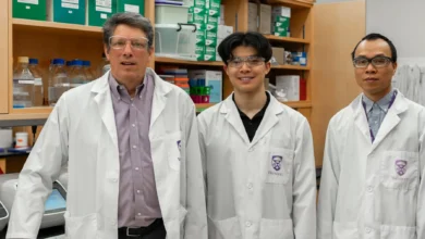 The study shows that the researchers' patented therapeutic candidate, HLP, has the ability to drive out the last remnants of HIV-1. (From left) Schulich School of Medicine & Dentistry Prof. Eric Arts, master’s student Ryan Ho and postdoctoral scholar Minh Ha Ngo. Megan Morris/Schulich School of Medicine & Dentistry