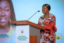 Elizabeth Ofosu-Adjare is the Minister of Trade, Agribusiness and Industry