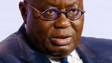 Former Ghanaian President Nana Addo Dankwa Akufo-Addo